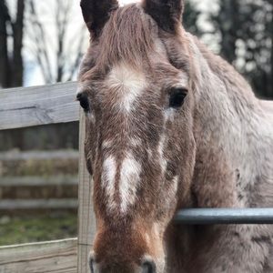 Meet your Posher, Sandy
